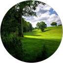 Adam Nye profile picture